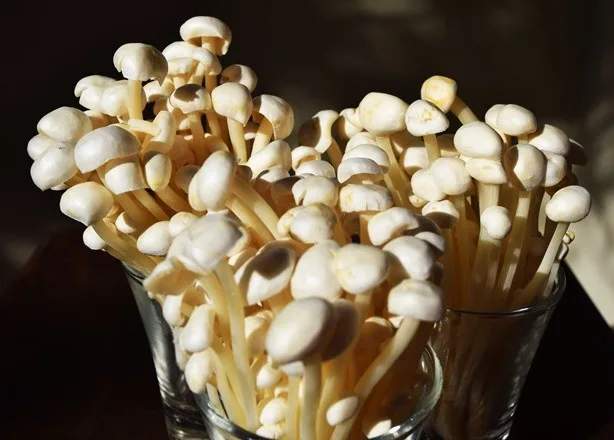 Enoki - foto 5