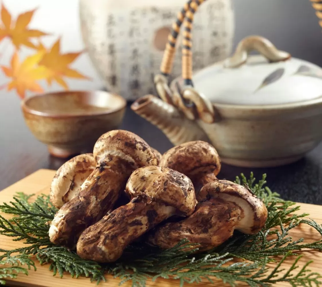 Matsutake Fresco - foto 6