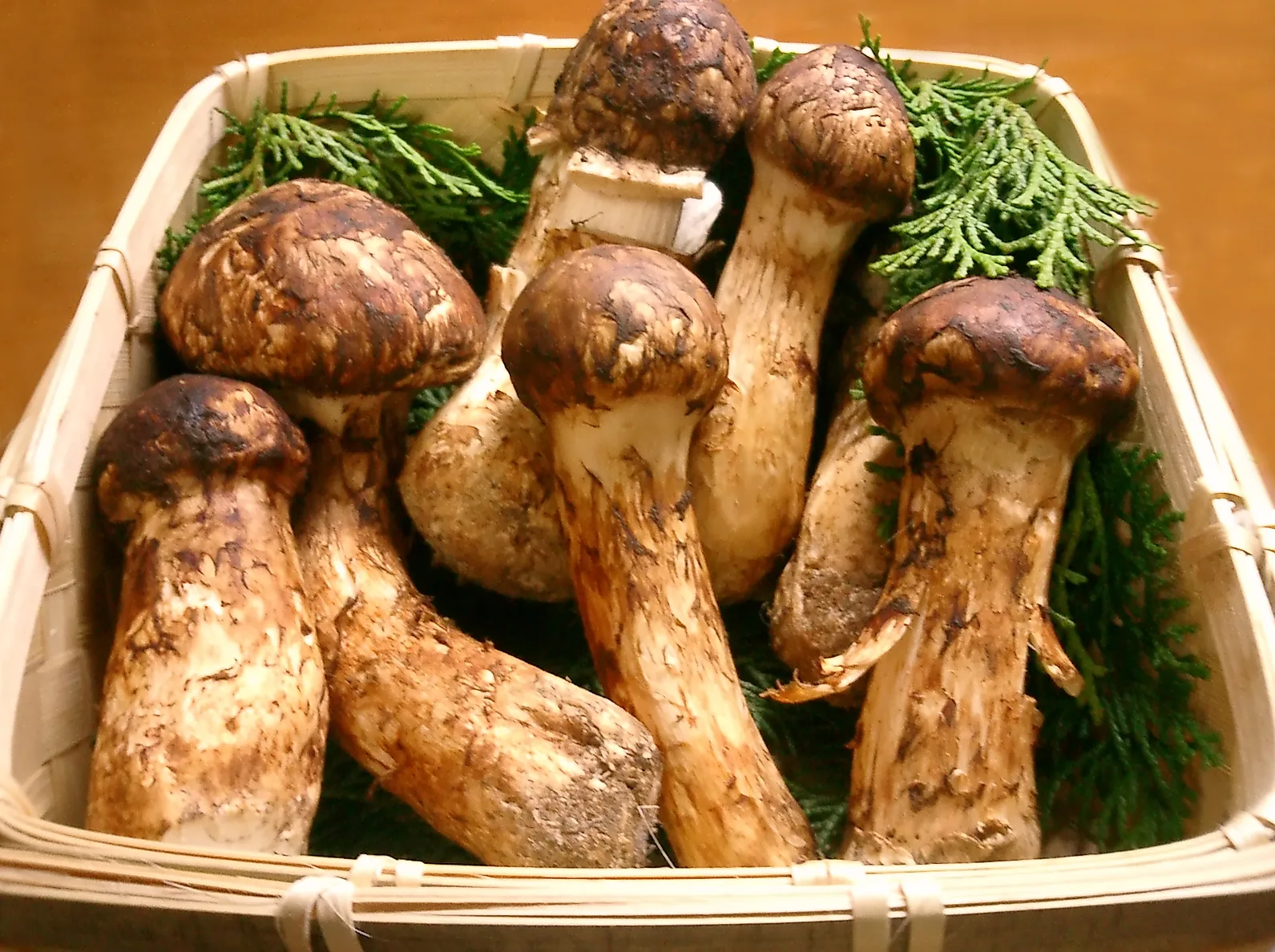 Matsutake Fresco