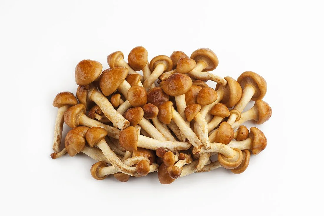 Nameko - foto 2