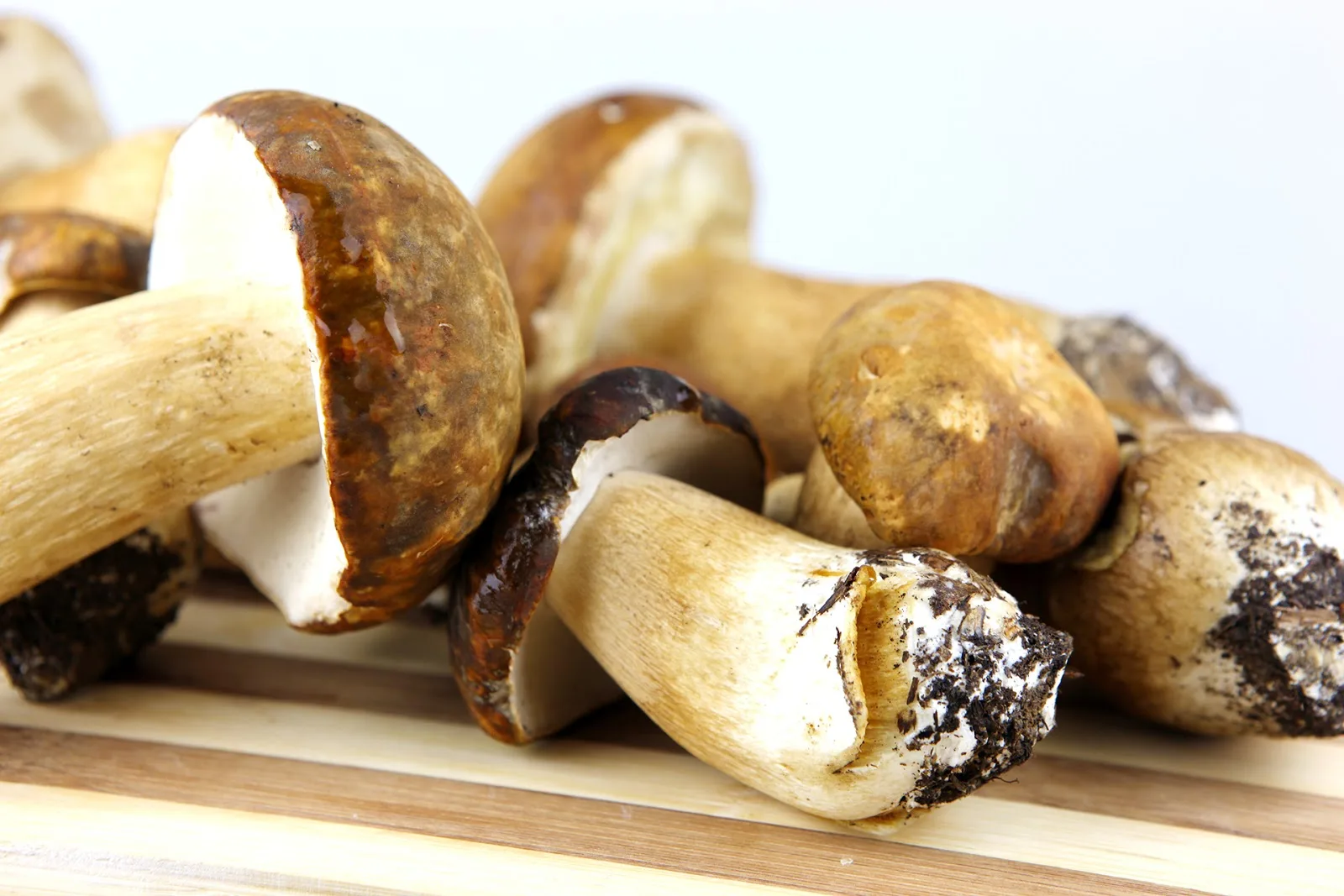 Porcini - foto 2