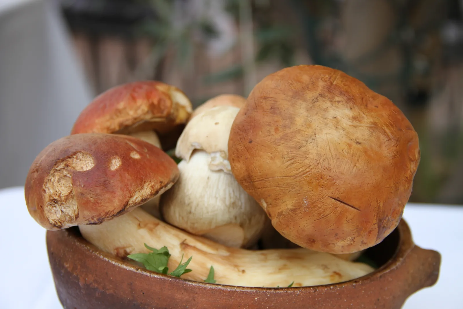 Porcini - foto 3