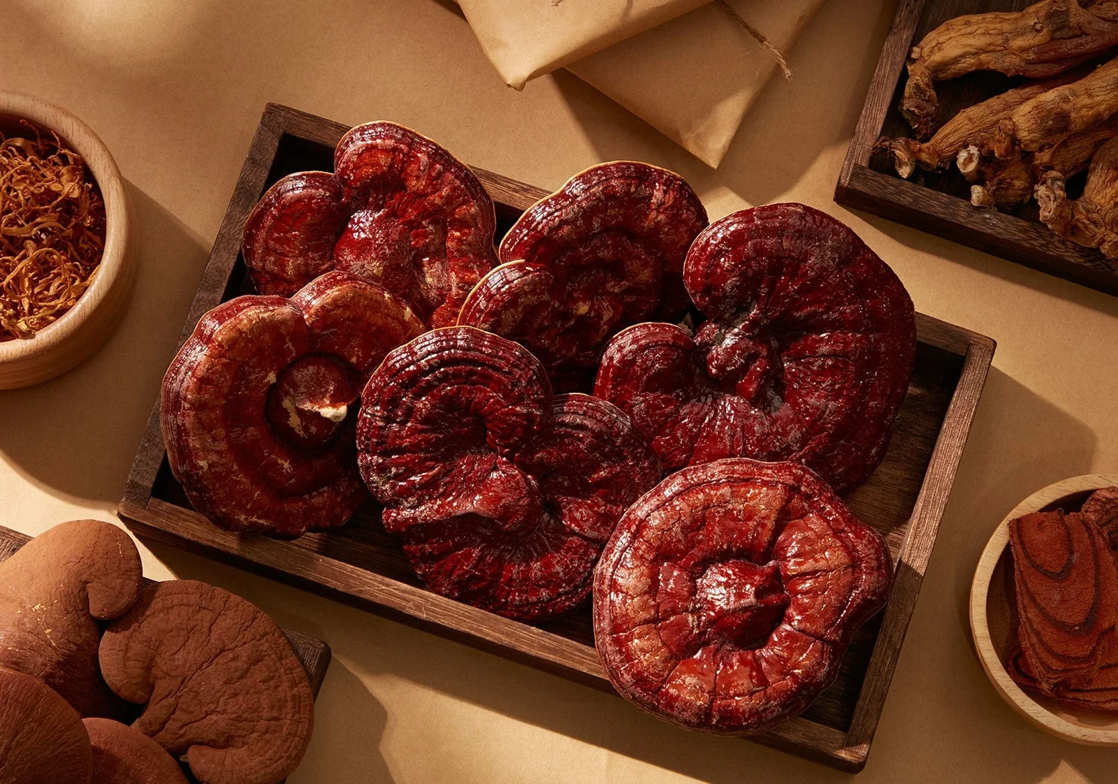Reishi - foto 5
