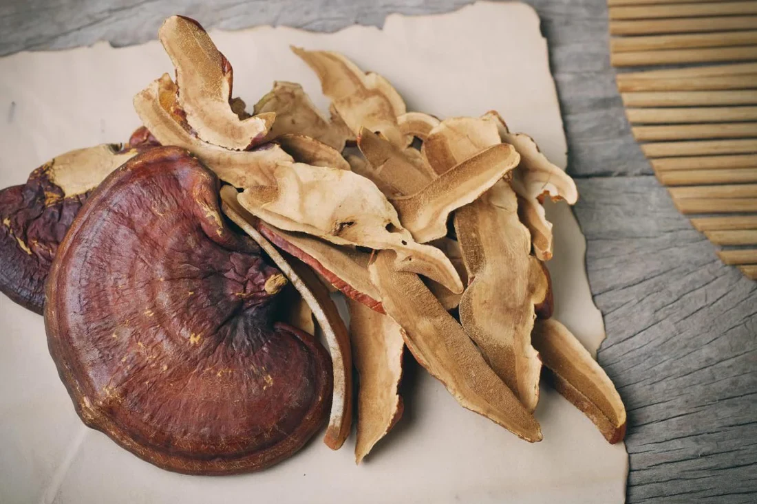 Reishi