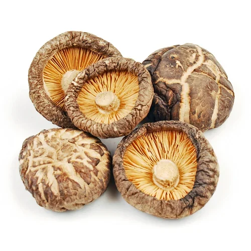 Shiitake Desidratado Inteiro Importado - foto 2