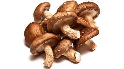 Shiitake